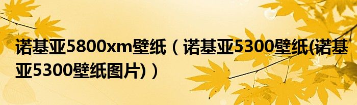 诺基亚5800xm壁纸【诺基亚5300壁纸(诺基亚5300壁纸图片)】