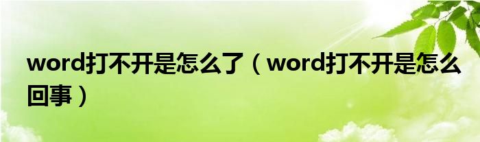 word打不开是怎么了【word打不开是怎么回事】