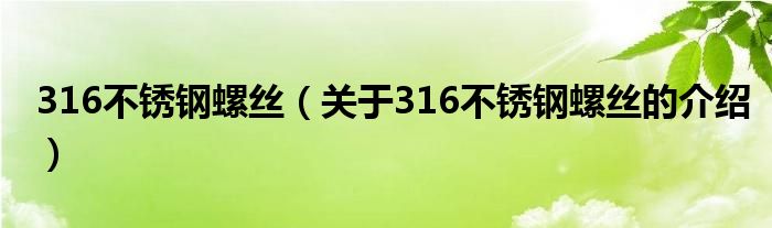 316不锈钢螺丝【关于316不锈钢螺丝的介绍】