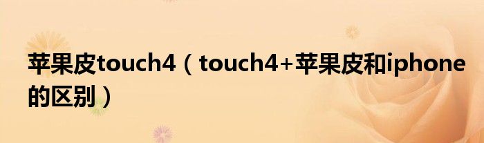 苹果皮touch4【touch4+苹果皮和iphone的区别】