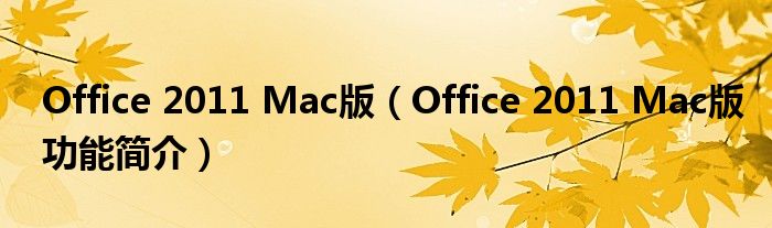 Office 2011 Mac版【Office 2011 Mac版功能简介】