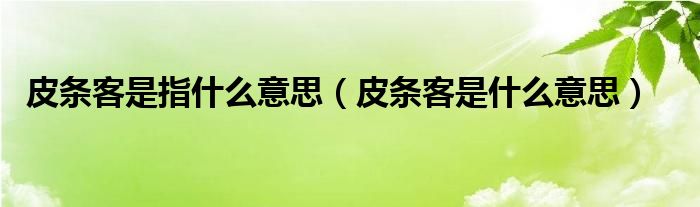 皮条客是指什么意思【皮条客是什么意思】