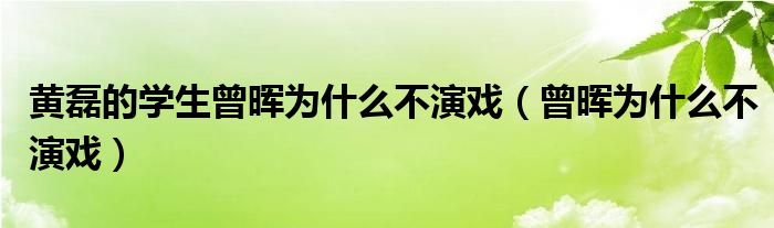 黄磊的学生曾晖为什么不演戏【曾晖为什么不演戏】