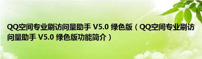 QQ空间专业刷访问量助手 V5.0 绿色版【QQ空间专业刷访问量助手 V5.0 绿色版功能简介】