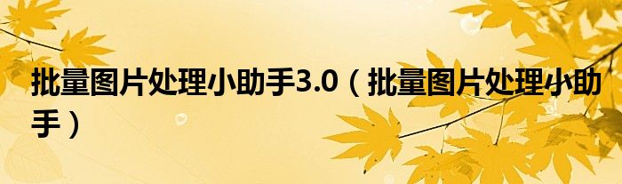 批量图片处理小助手3.0【批量图片处理小助手】