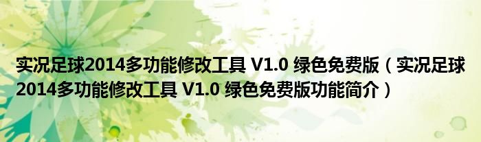 实况足球2014多功能修改工具 V1.0 绿色免费版【实况足球2014多功能修改工具 V1.0 绿色免费版功能简介】