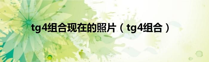 tg4组合现在的照片【tg4组合】