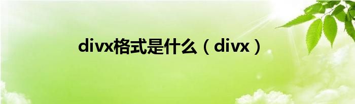 divx格式是什么【divx】