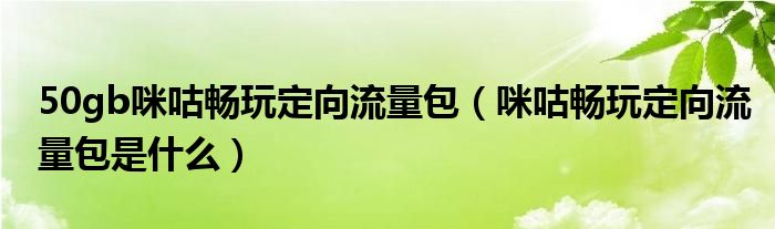 50gb咪咕畅玩定向流量包【咪咕畅玩定向流量包是什么】