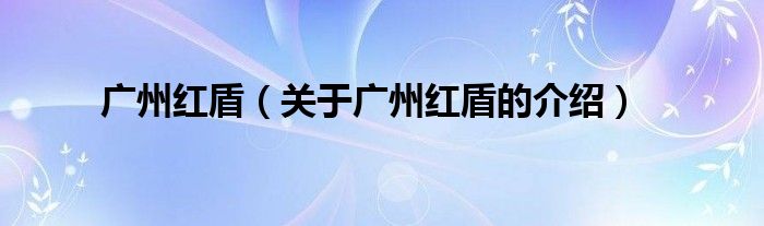 广州红盾【关于广州红盾的介绍】