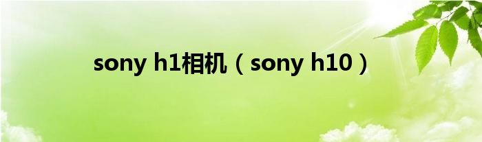 sony h1相机【sony h10】