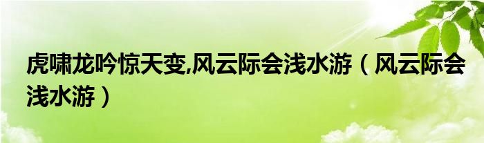 虎啸龙吟惊天变,风云际会浅水游【风云际会浅水游】