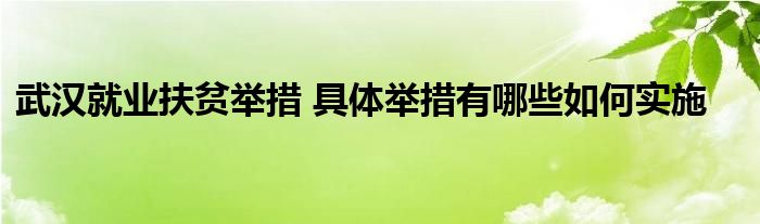 武汉就业扶贫举措 具体举措有哪些如何实施