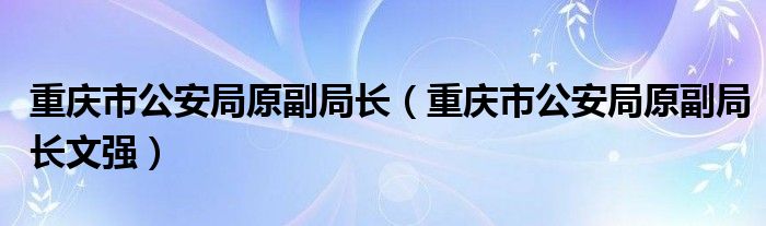 重庆市公安局原副局长【重庆市公安局原副局长文强】