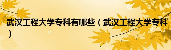 武汉工程大学专科有哪些【武汉工程大学专科】