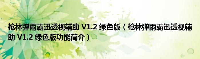 枪林弹雨霸迅透视辅助 V1.2 绿色版【枪林弹雨霸迅透视辅助 V1.2 绿色版功能简介】