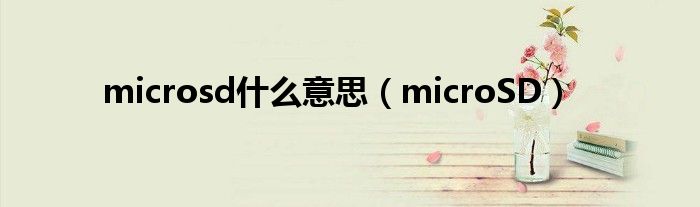 microsd什么意思【microSD】