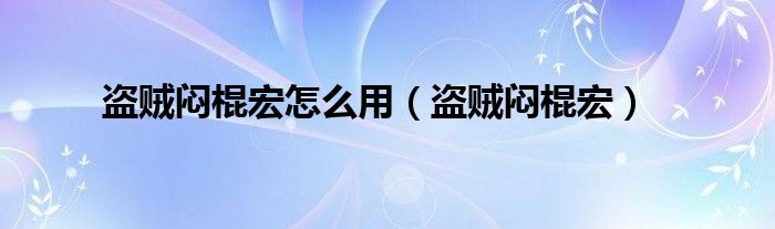 盗贼闷棍宏怎么用【盗贼闷棍宏】