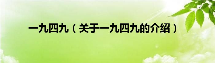 一九四九【关于一九四九的介绍】