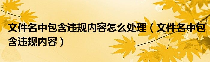 文件名中包含违规内容怎么处理【文件名中包含违规内容】