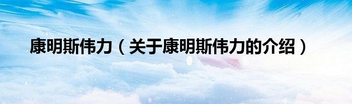 康明斯伟力【关于康明斯伟力的介绍】