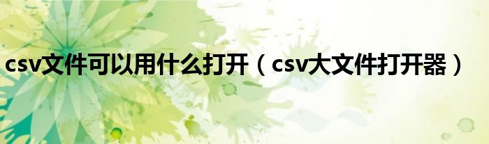 csv文件可以用什么打开【csv大文件打开器】