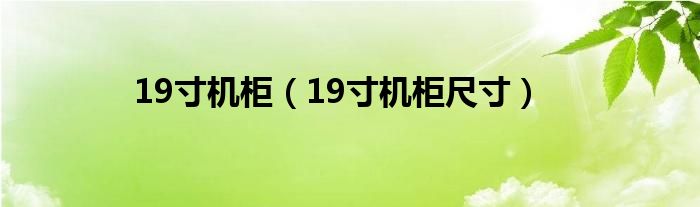 19寸机柜【19寸机柜尺寸】