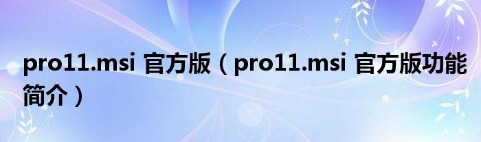 pro11.msi 官方版【pro11.msi 官方版功能简介】