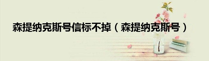 森提纳克斯号信标不掉【森提纳克斯号】