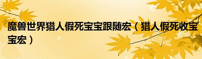 魔兽世界猎人假死宝宝跟随宏【猎人假死收宝宝宏】