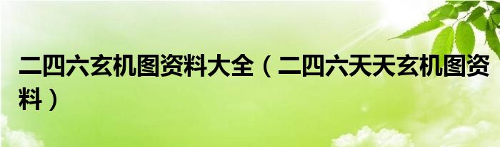 二四六玄机图资料大全【二四六天天玄机图资料】