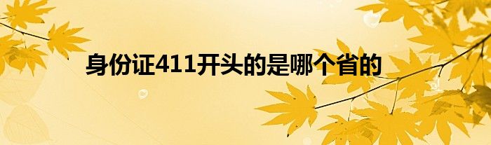 身份证411开头的是哪个省的