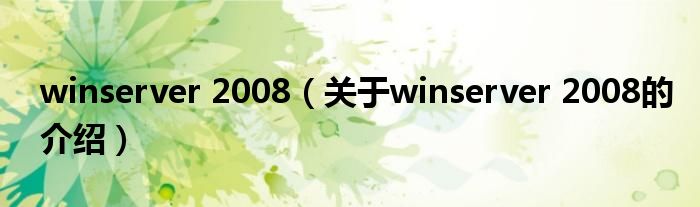 winserver 2008【关于winserver 2008的介绍】