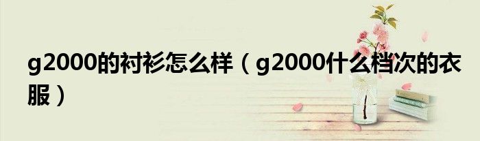 g2000的衬衫怎么样【g2000什么档次的衣服】