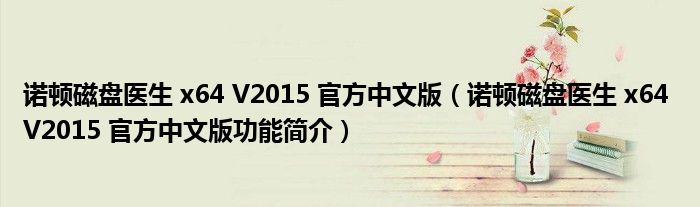 诺顿磁盘医生 x64 V2015 官方中文版【诺顿磁盘医生 x64 V2015 官方中文版功能简介】