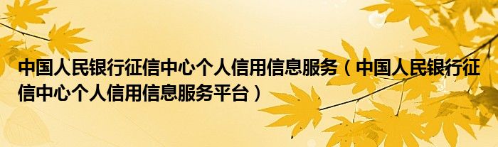 中国人民银行征信中心个人信用信息服务【中国人民银行征信中心个人信用信息服务平台】