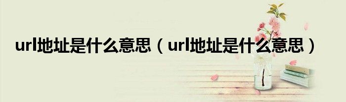 url地址是什么意思【url地址是什么意思】