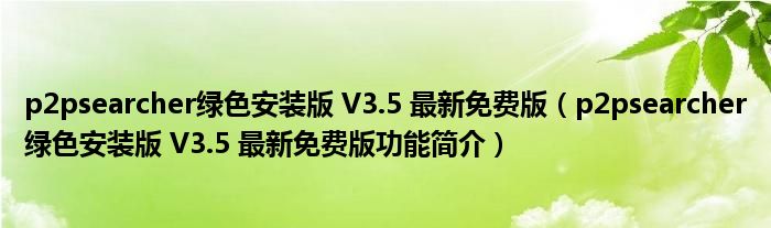 p2psearcher绿色安装版 V3.5 最新免费版【p2psearcher绿色安装版 V3.5 最新免费版功能简介】