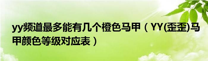 yy频道最多能有几个橙色马甲【YY(歪歪)马甲颜色等级对应表】