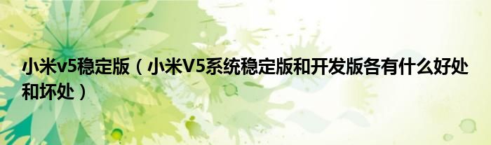 小米v5稳定版【小米V5系统稳定版和开发版各有什么好处和坏处】