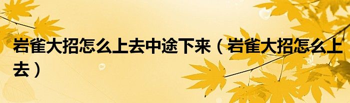 岩雀大招怎么上去中途下来【岩雀大招怎么上去】