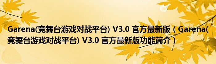 Garena(竞舞台游戏对战平台) V3.0 官方最新版【Garena(竞舞台游戏对战平台) V3.0 官方最新版功能简介】