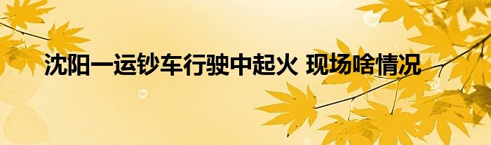 沈阳一运钞车行驶中起火 现场啥情况