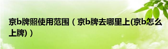 京b牌照使用范围【京b牌去哪里上(京b怎么上牌)】