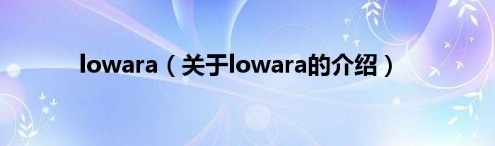 lowara【关于lowara的介绍】