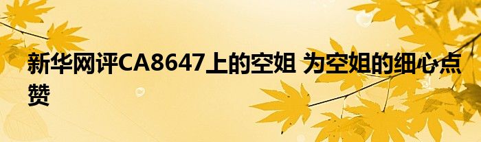 新华网评CA8647上的空姐 为空姐的细心点赞