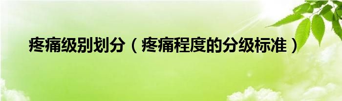 疼痛级别划分【疼痛程度的分级标准】