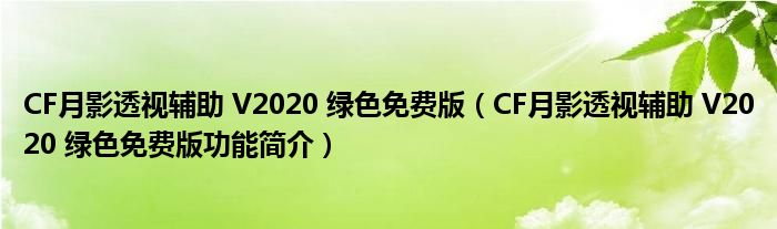 CF月影透视辅助 V2020 绿色免费版【CF月影透视辅助 V2020 绿色免费版功能简介】