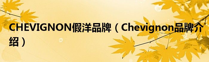 CHEVIGNON假洋品牌【Chevignon品牌介绍】