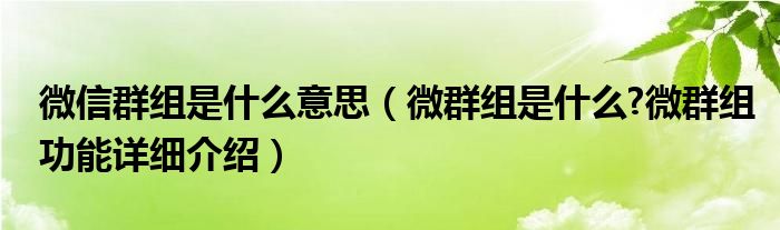 微信群组是什么意思【微群组是什么?微群组功能详细介绍】